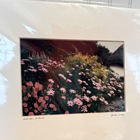 Floral Landscape Art Print of Ardmore, Ireland by Willis - Picture 1 of 7